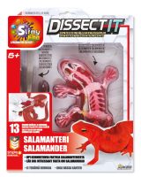 Dissect It Salamanteri