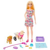 Barbie® -nukke ja tarvikkeet