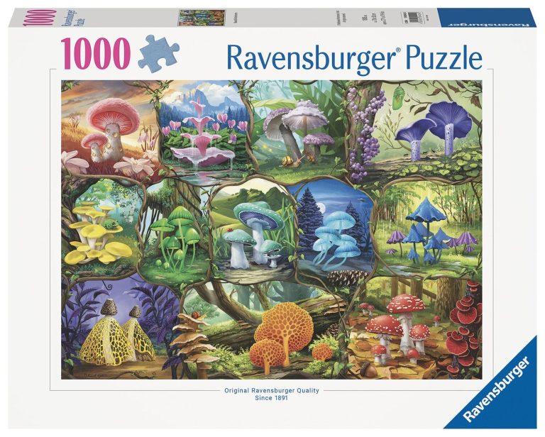 Beautiful Mushrooms &#8211; 1000p